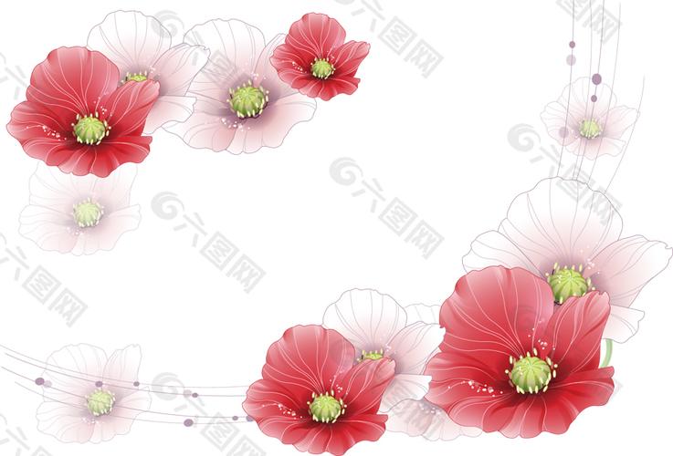 红花白底背景图
