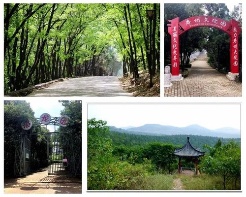 福利来袭寿县八公山风景区向全国教师免费开放40天