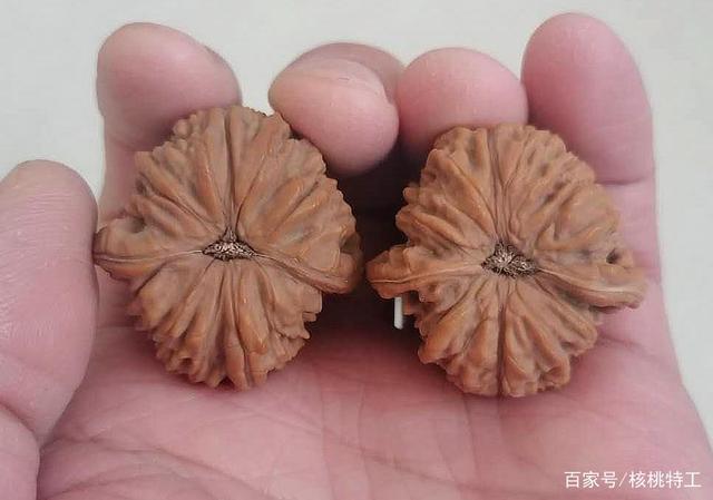 100种文玩核桃品种分享之79:四喜狮子头