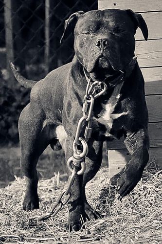 640_960 竖版 竖屏