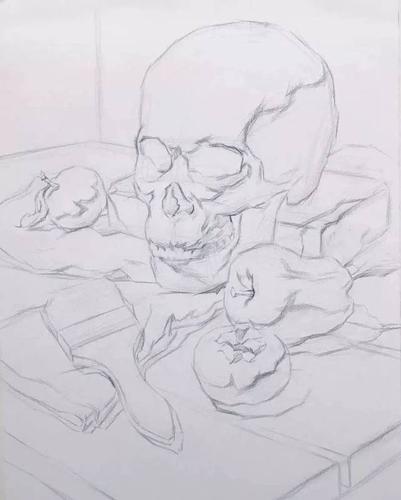 如何把素描画得像?要狠抓结构,造型,透视,那你就是高手了