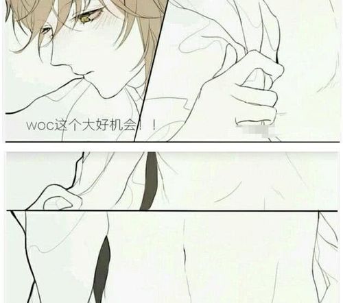 王者荣耀信白cp身体互换的结果元芳韩信变态你被捕了