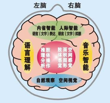 双脑同步多元智能音乐
