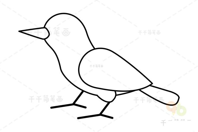 画眉鸟简笔画