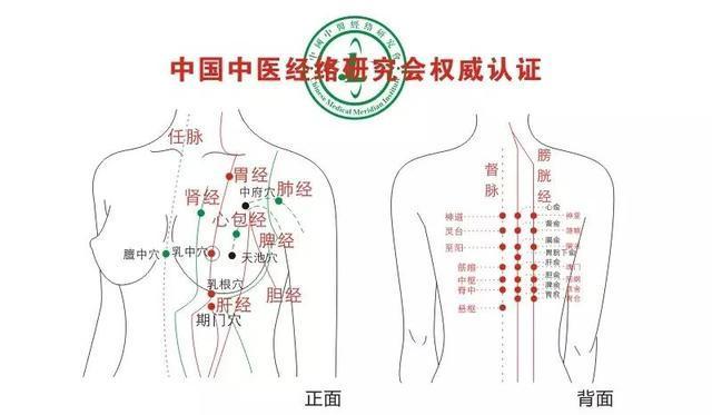 乳房经络调理图示