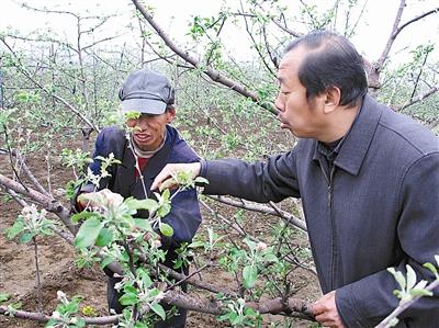 人民楷模李保国