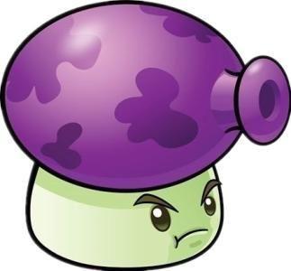 也不高,就75阳光,是楼主非常喜欢的一种植物 原形:不存在的 大喷菇