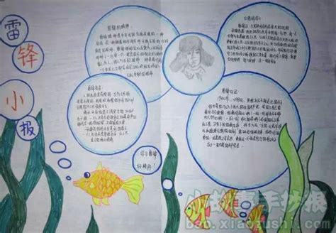 性格故事分享的手抄报 阅读分享手抄报