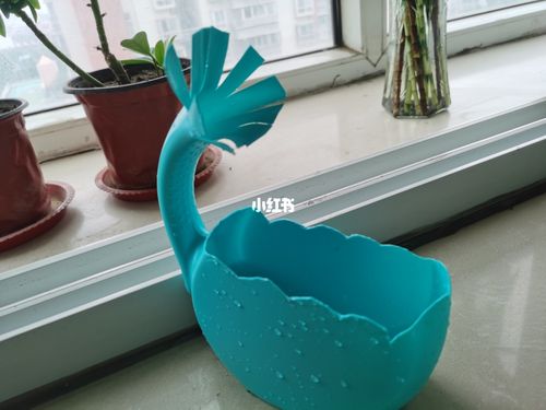 洗衣液瓶改花盆成功_花盆_洗衣液_兴趣爱好_手工