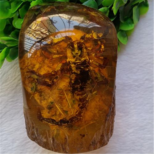 琥珀蜜蜡虫珀植珀蝎子蝴蝶一鸣惊人摆件手玩辟邪化石昆虫标本包邮