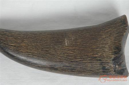 犀牛角的特征主要有三点:一是横截面有鱼籽纹;二是侧面有竹丝纹;三