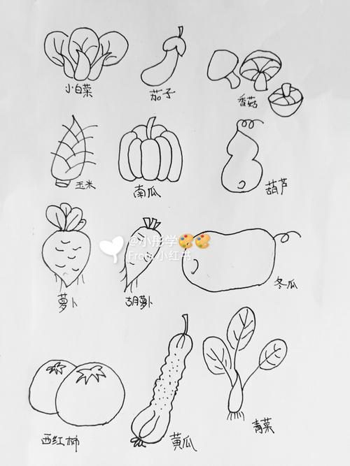 简笔画练习蔬菜
