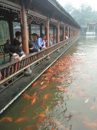 永康农家乐大陈村