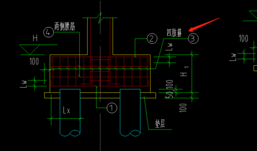 请问四肢箍是什么意思?应该选用哪个配筋形式呢
