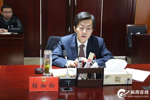谋在长远干在实处 推动枞阳高质发展