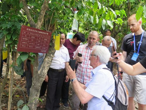 关于"朱苦拉古咖啡园"申报世界遗产的思考