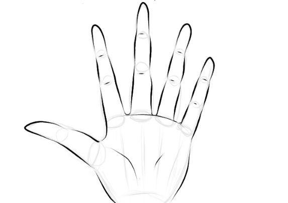 不会画手指手指要画多长教你正确画手指的方法