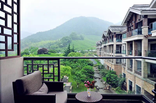 【温泉季优惠】躲进余姚深山里的绝美酒店——阳明温泉山庄,茶园环绕