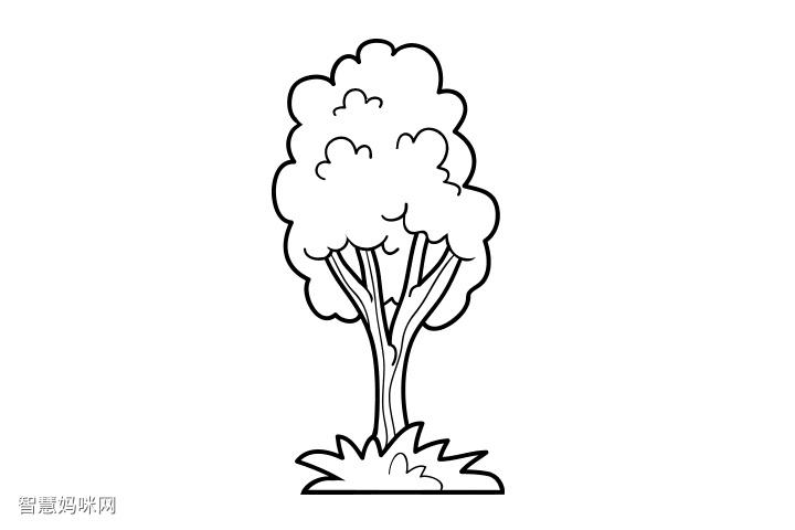 12张简单好画的树木简笔画