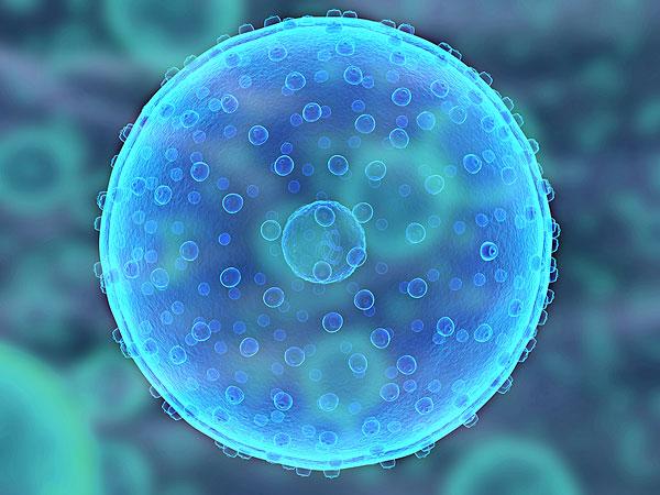 人体细胞是人体的结构和生理功能的基本单位.