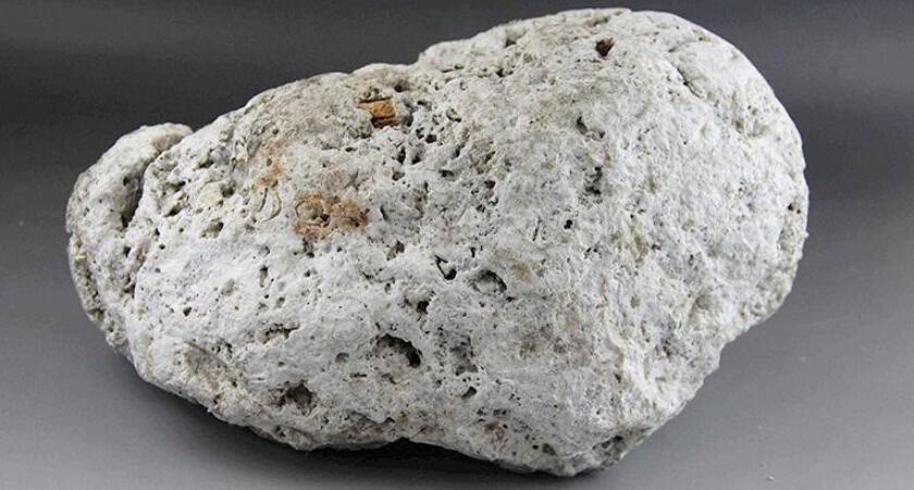 龙涎香是什么东西乃抹香鲸排泄物古代最贵香料贵族爱不释手