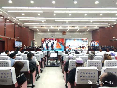 中宁县人民法院公开开庭审理被告人吴建华等19人组织
