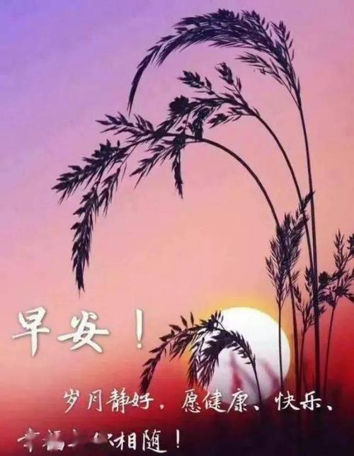 特别漂亮的早上好图片,动态早上好图片大全,新的一天愉快的心情陪伴你