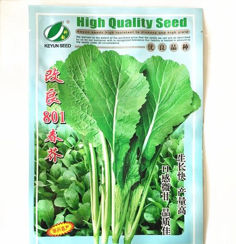 改良801春芥种子 春菜种子 四季播 快长高产 口感好 400g