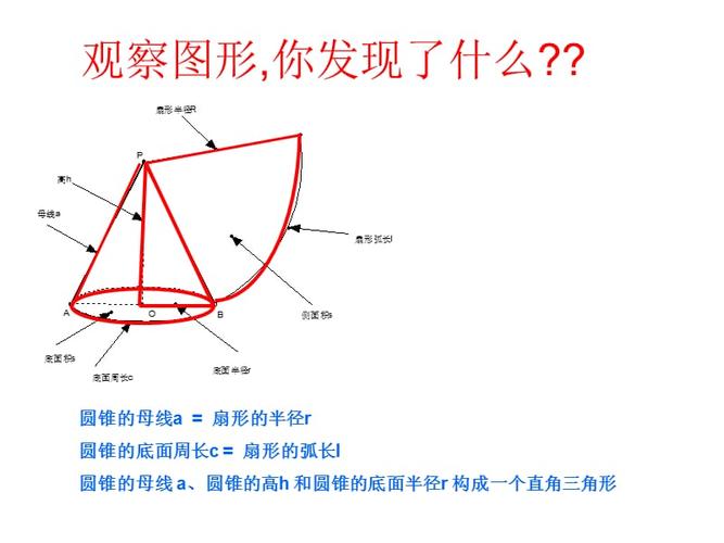 圆锥及侧面展开图的相关概念.[下学期]华师大版.ppt