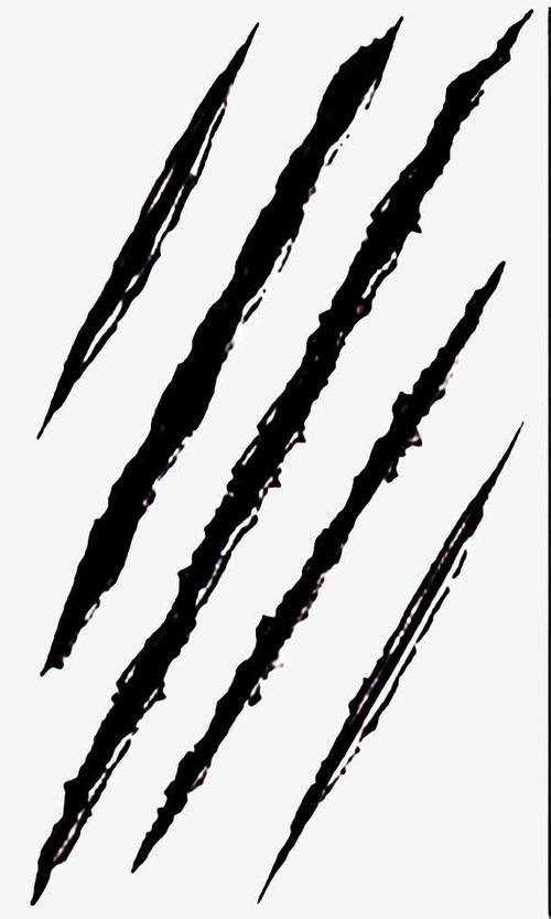 关键词 : 黑色,爪痕,伤口,细长,抓痕,png图片