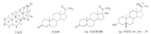 执业药师备考考点:药物化学孕激素类及相关药物1
