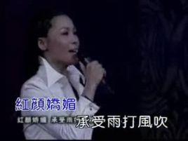 风雨彩虹铿锵玫瑰
