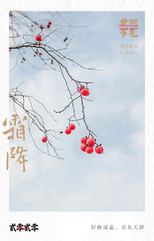 霜降:好柿成霜,喜从天降