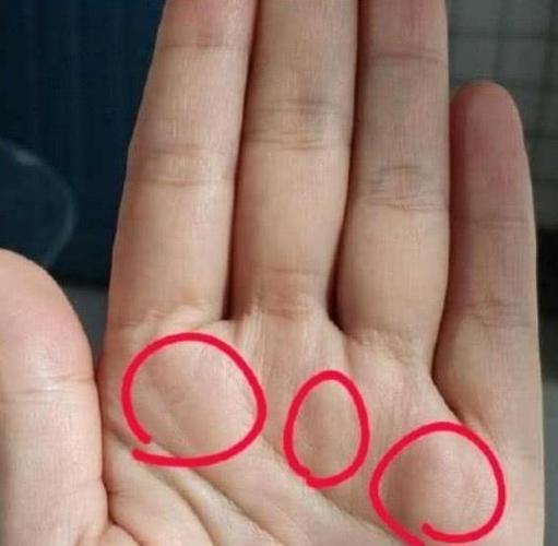 富贵手相,什么样的首相才最聚财?看看有没有你的份呢?