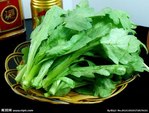 茼蒿蒿子秆种子 食用田园高产盆栽阳台蔬菜水果花卉籽