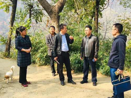 县委组织部副部长赵晓杰带队到骆峪镇检查指导脱贫攻坚工作