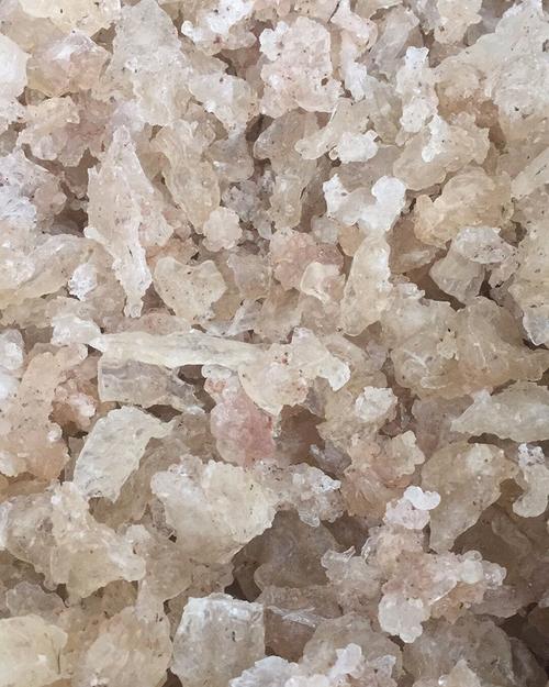 正品小龙须雪燕 优质天山雪燕少杂质足干 可搭配桃胶皂角米