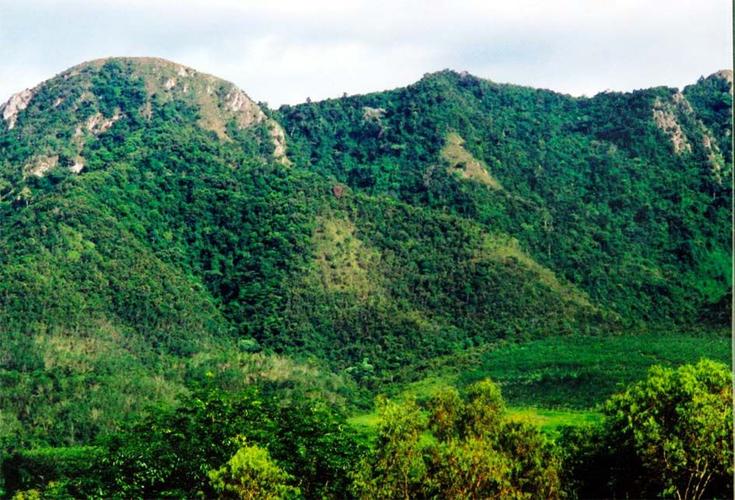 题乐东保国农场毛公山