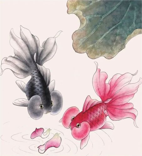【国画教程】工笔金鱼画法步骤