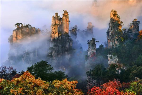 这里植被繁茂,奇峰嶙峋,是张家界国家森林公园一道非常靓丽的风景线