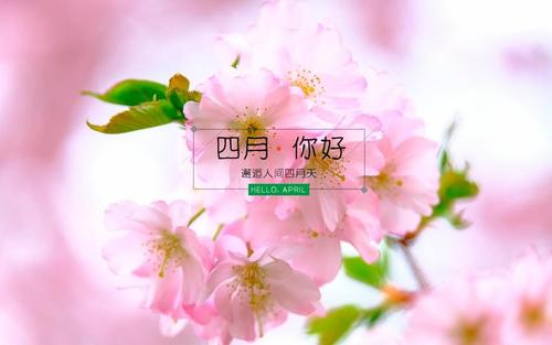 四月你好,邂逅人间四月天,高清壁纸图片,非主流-回车
