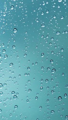 雨后的一切都焕然一新
