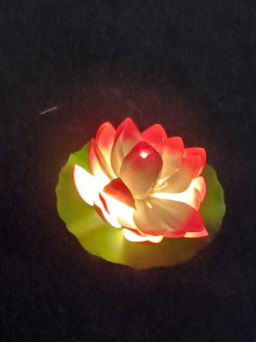 心灯点亮愿望境