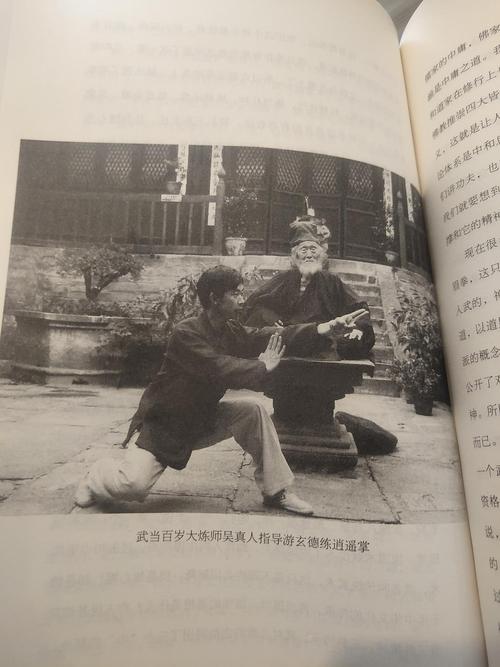 河南郑州大成拳,王芗斋嫡传大成拳,真正的站桩