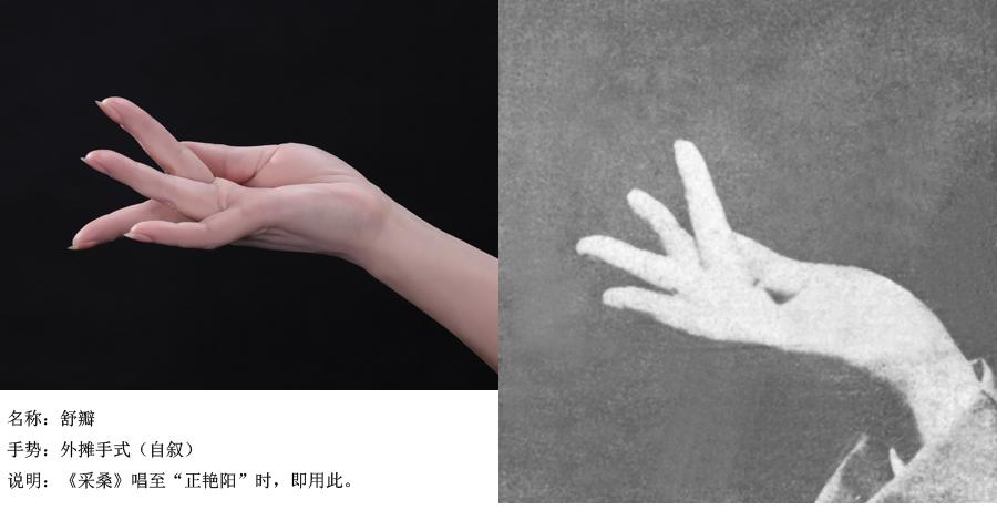 手舞艺术——梅派兰花指摄影展