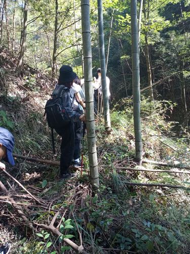 官元山林场—方竹坪—西坑村—仙人石—船埠潭(地图标为船市滩)—官
