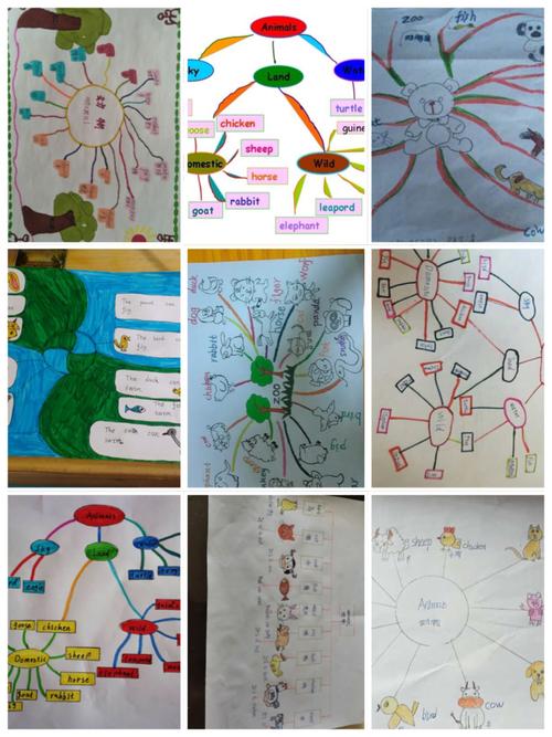 甘肃省靖远师范学校附属小学三年级一班同学们创编的动物思维导图和