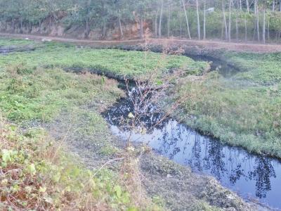 须水河变成臭水沟