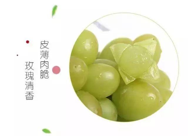 美味房县小鱼儿葡萄采摘园阳光玫瑰采摘正当时各位小主有口福啦