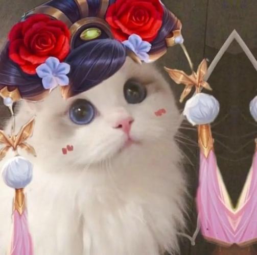 王者荣耀猫咪头像安琪拉高清大图 头像猫咪安琪拉原图